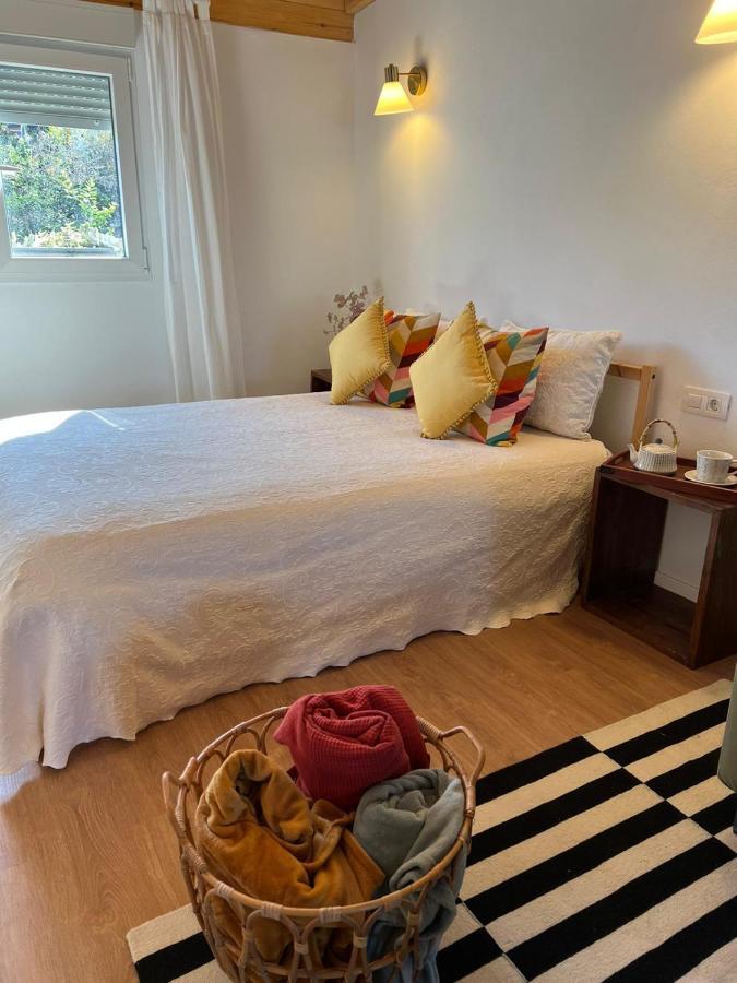 Casa Chano Estudio Confortable Tenerife 이코드레로스비노스 외부 사진