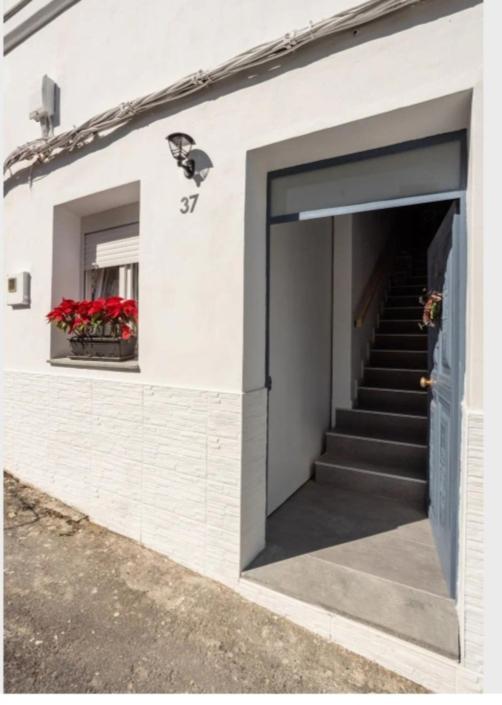Casa Chano Estudio Confortable Tenerife 이코드레로스비노스 외부 사진